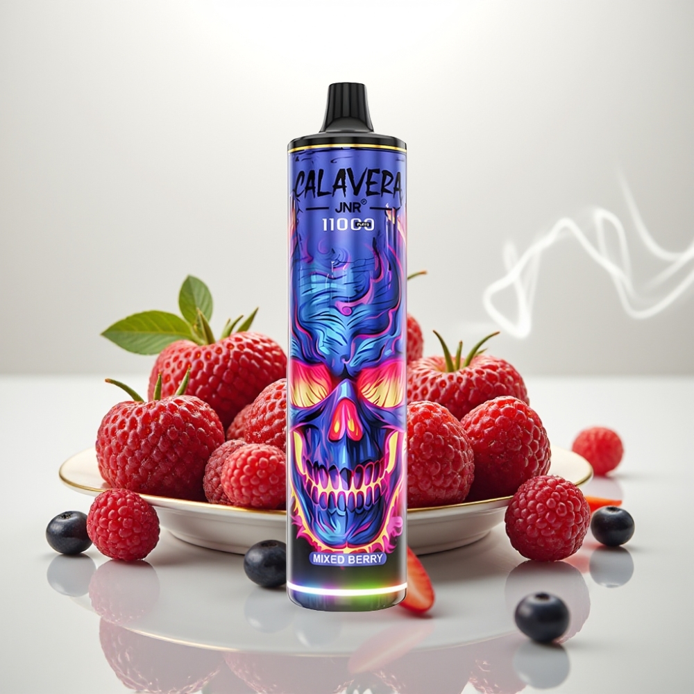 JNR Calavera 11000 Puffs Disposable Vape with Type-C  Mesh Coil Mixed Berry