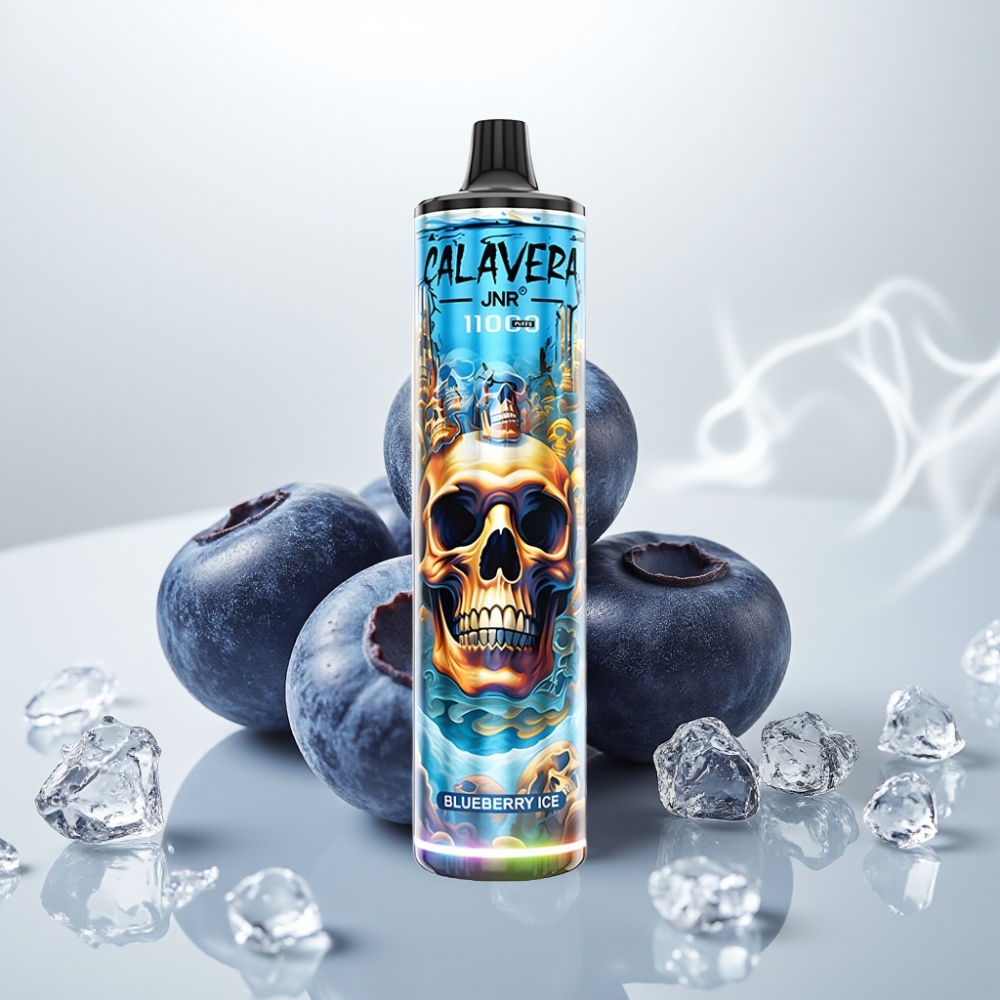 JNR Calavera 11000 Puffs Type-C Mesh Coil Blueberry Ice Disposable Vape