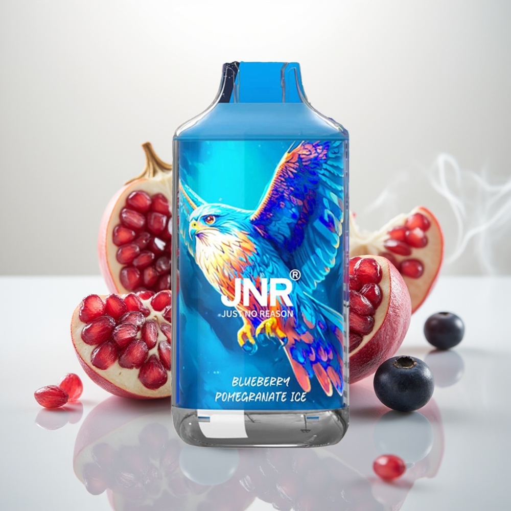 JNR Falcon 16000 Puffs Dual Mesh 22ml Blueberry Pomegranate Ice