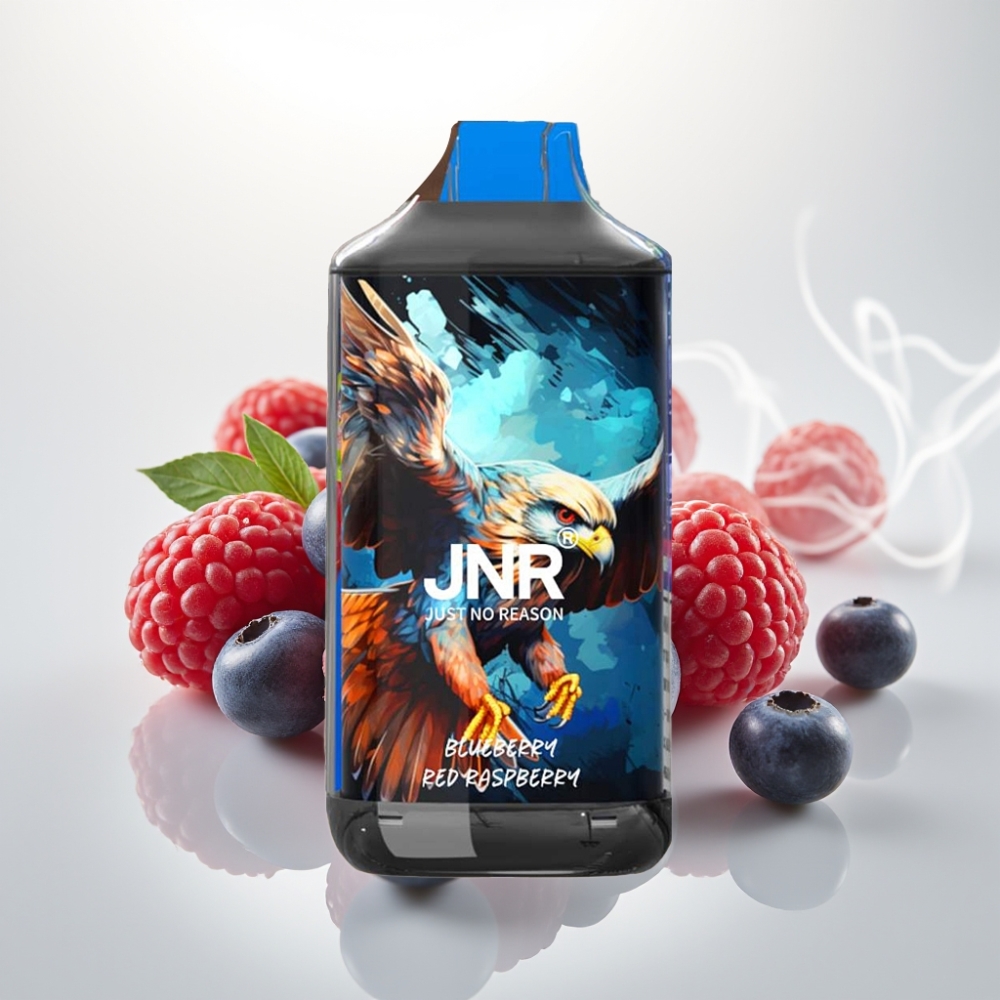 JNR Falcon 16000 Puffs Dual Mesh 22ml Blueberry Red Raspberry