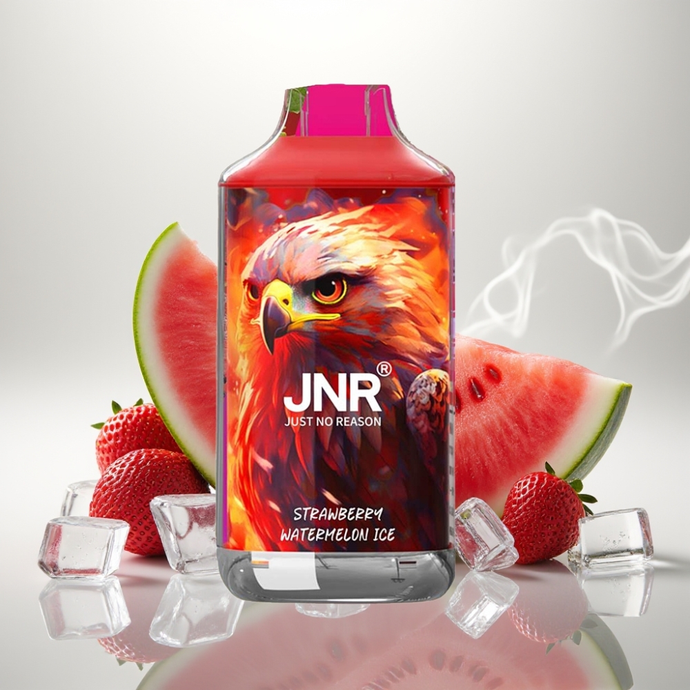 JNR Falcon 16000 Puffs Dual Mesh 22ml Strawberry Watermelon Ice