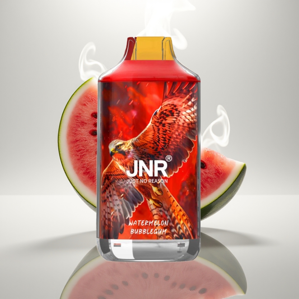 JNR Falcon 16000 Puffs Dual Mesh 22ml Watermelon Bubblegum