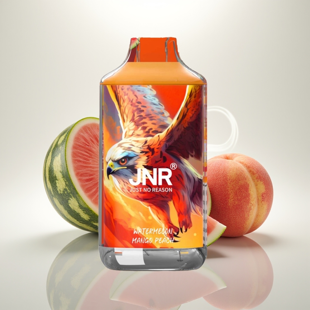 JNR Falcon 16000 Puffs Dual Mesh 22ml Watermelon Mango Peach