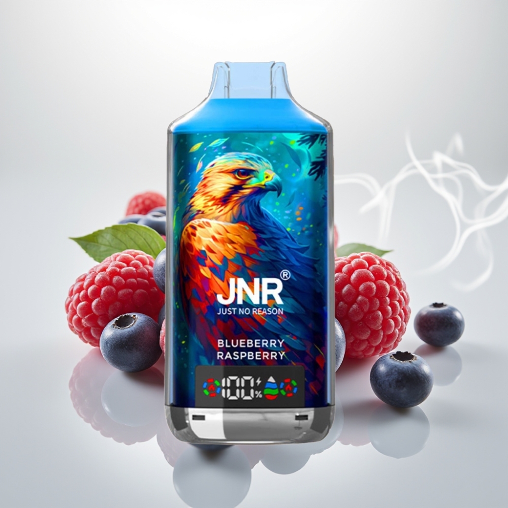JNR Falcon X 18000 Puffs Dual Mesh 24ml Blueberry Raspberry