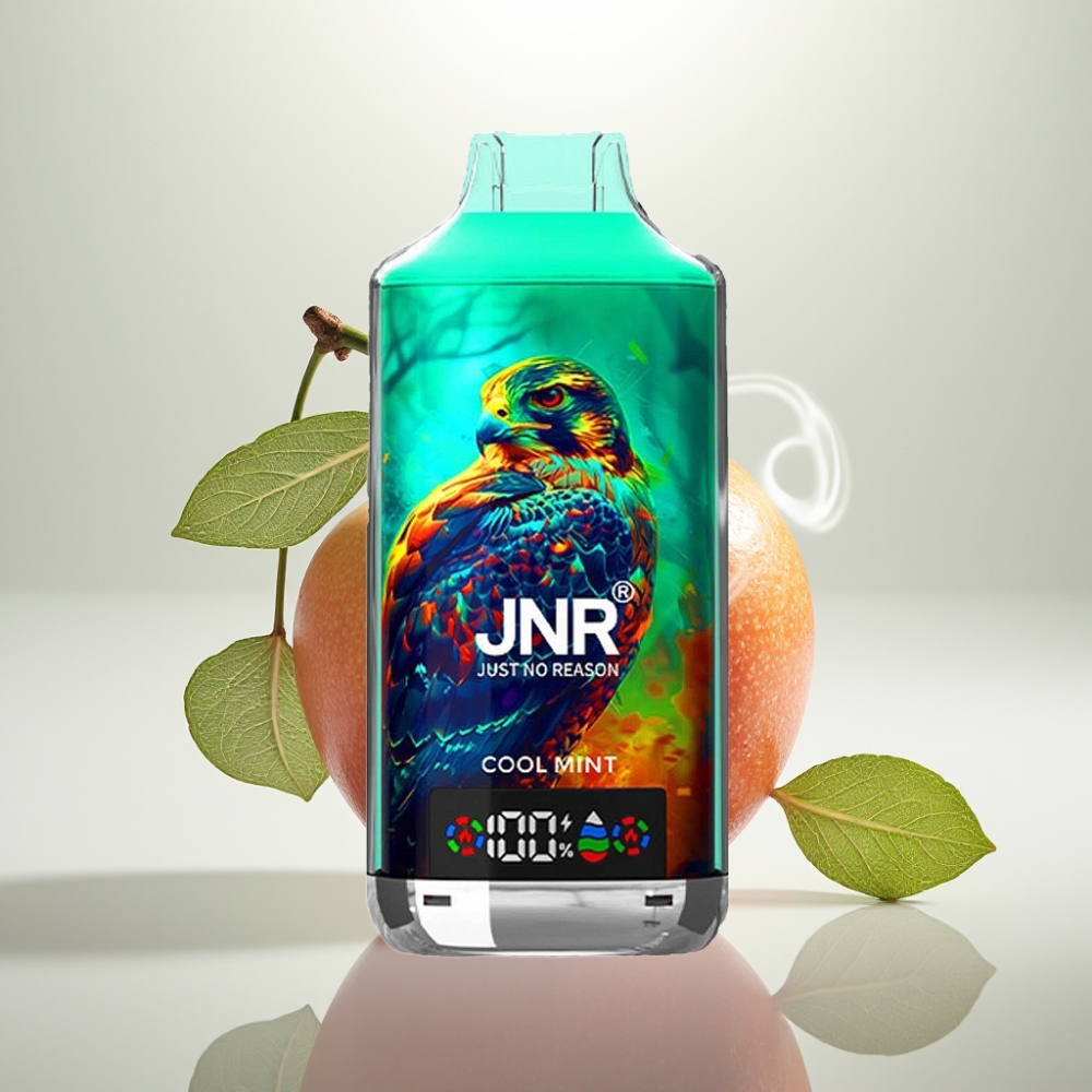JNR Falcon X 18000 Puffs Dual Mesh 24ml Cool Mint