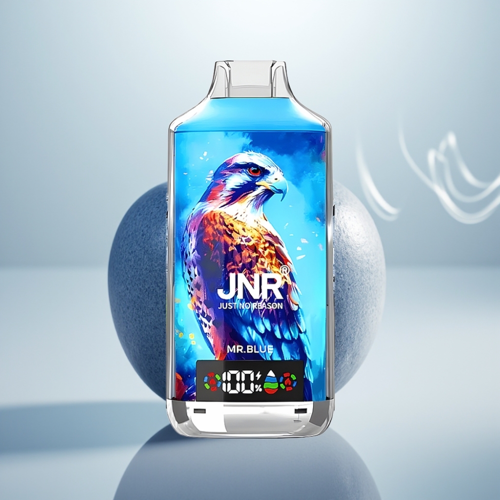 JNR Falcon X 18000 Puffs Dual Mesh 24ml Mr Blue