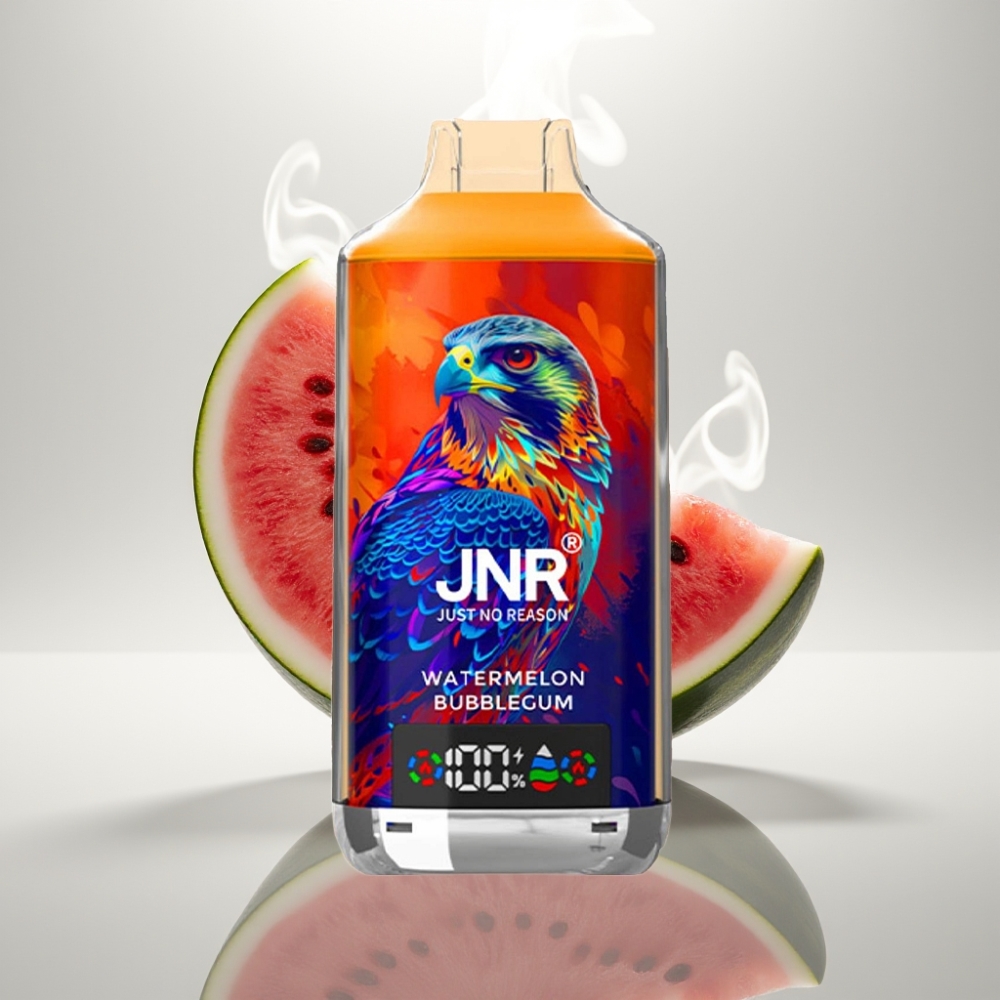 JNR Falcon X 18000 Puffs Dual Mesh 24ml Watermelon Bubblegum