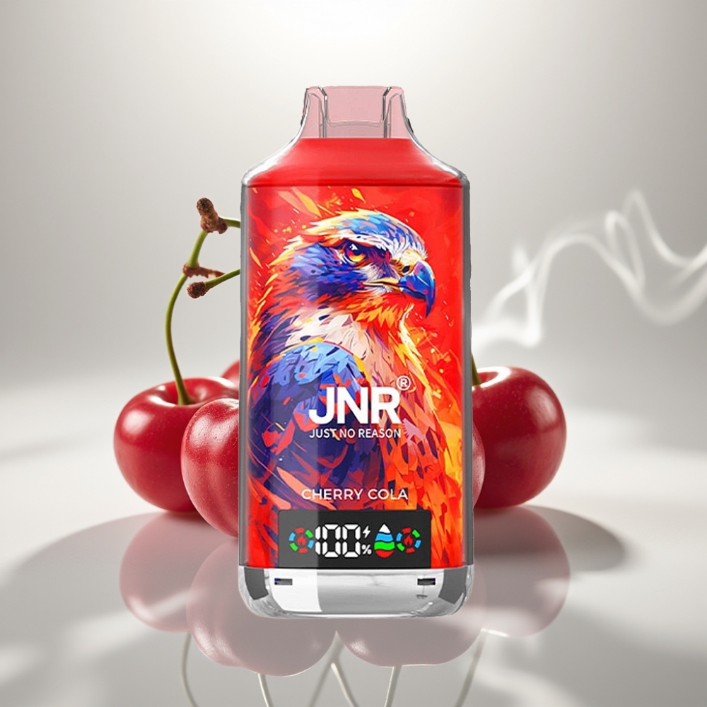 JNR Falcon X 18000 Puffs Dual Mesh Cherry Reason