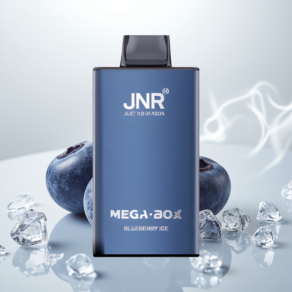 JNR Mega Box 25000 Puffs Dual Mesh Disposable Vape Blueberry Ice