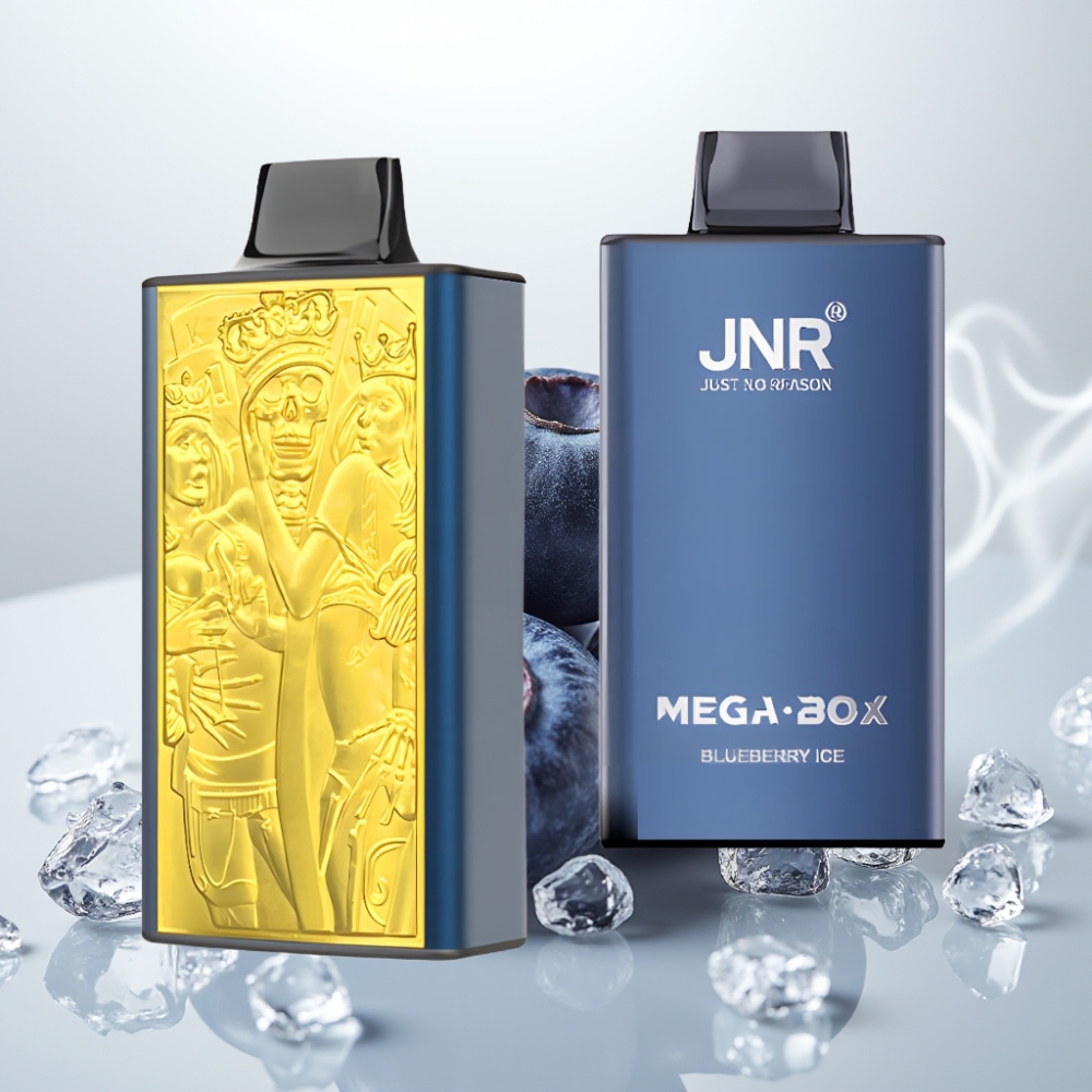 JNR Mega Box 25000 Puffs Dual Mesh Disposable Vape Blueberry Ice