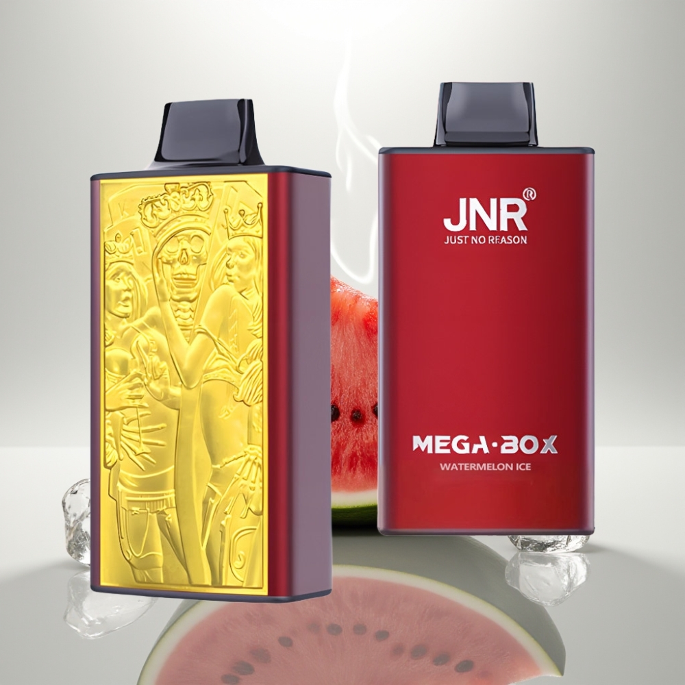 JNR Mega Box 25000 Puffs Dual Mesh Disposable Vape Watermelon Ice