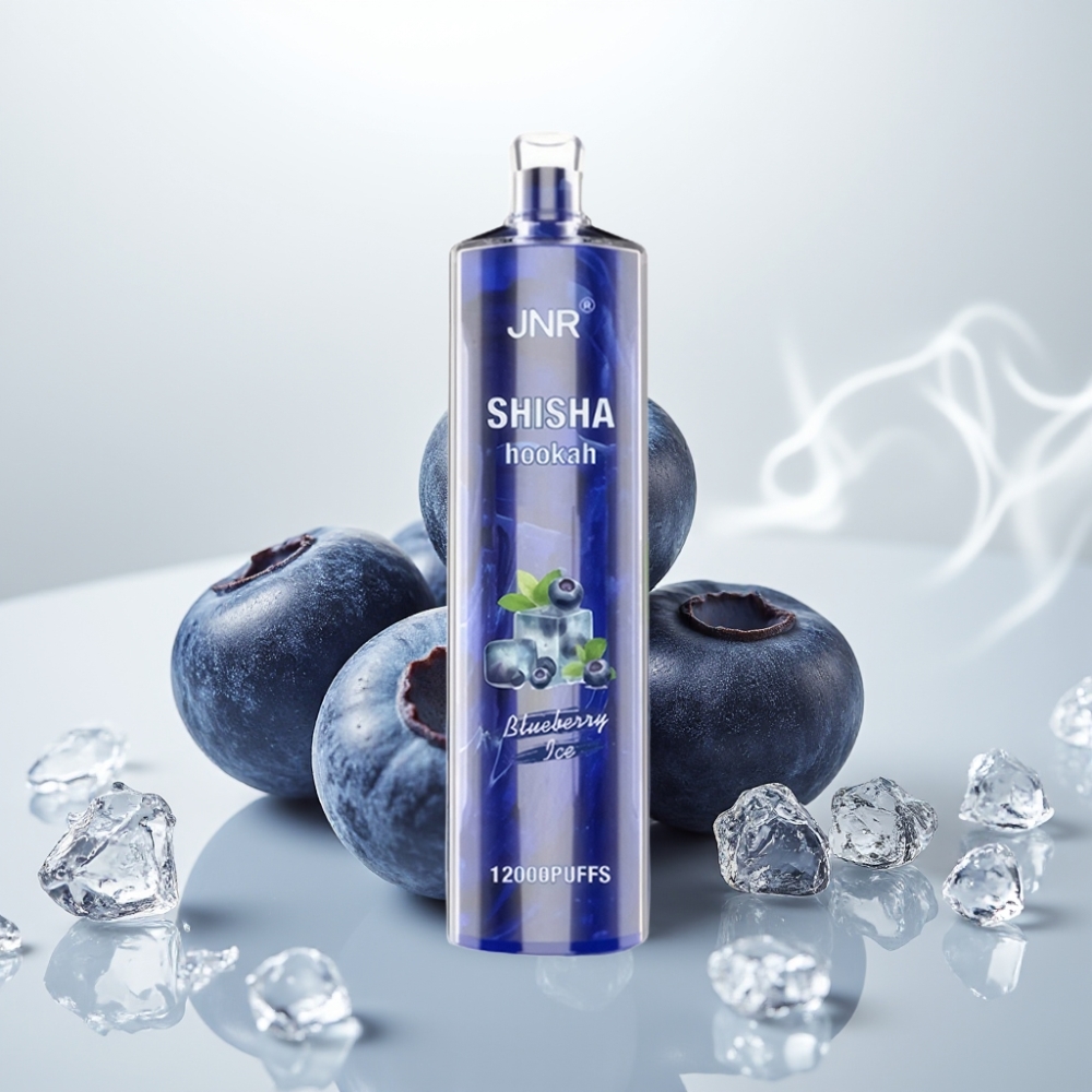 JNR Shisha Hookah 12000 Puffs 24ml 750mAh Blueberry Ice