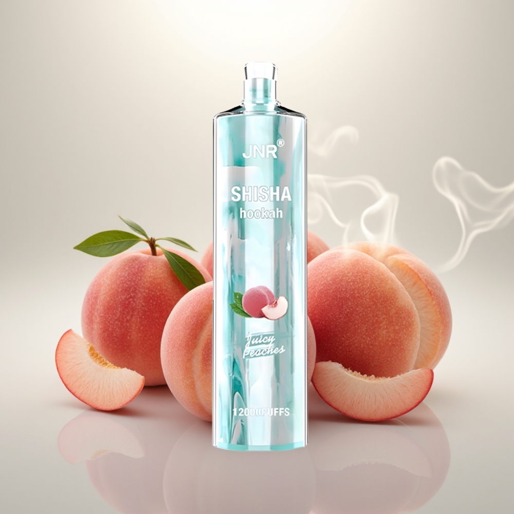 JNR Shisha Hookah 12000 Puffs 24ml Type-C Juicy Peaches