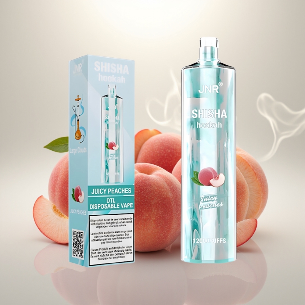 JNR Shisha Hookah 12000 Puffs 24ml Type-C Juicy Peaches