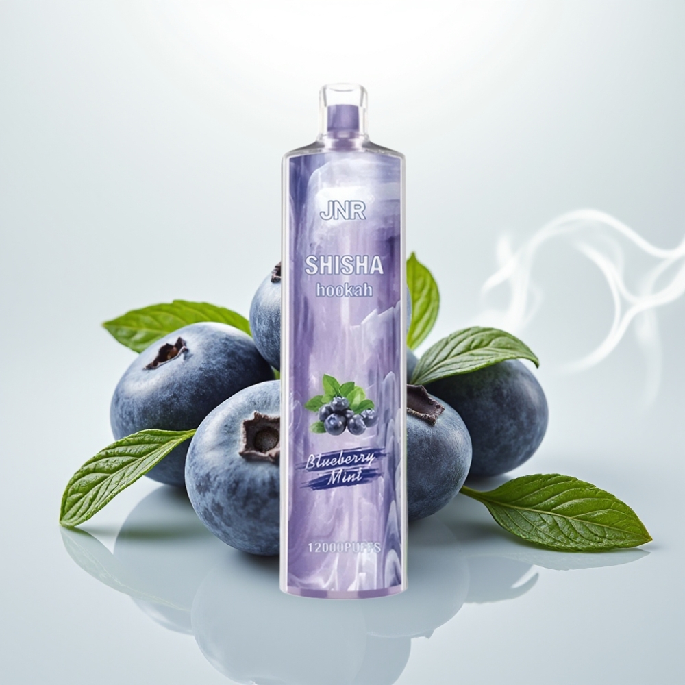 JNR Shisha Hookah 12000 Puffs 750mAh 24ml Blueberry Mint