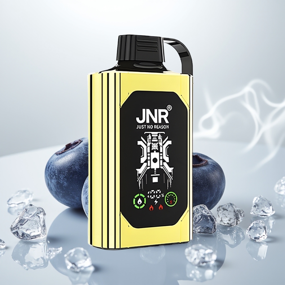 JNR Shisha Hookah Box 20500 Puffs Dual Mesh 25ml Blueberry Ice