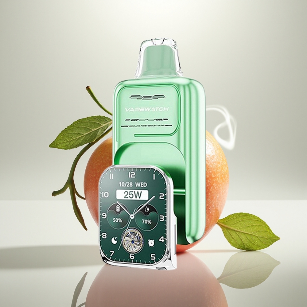 JNR VapeWatch 30000 Puffs Dual Mesh Coil Miami Mint
