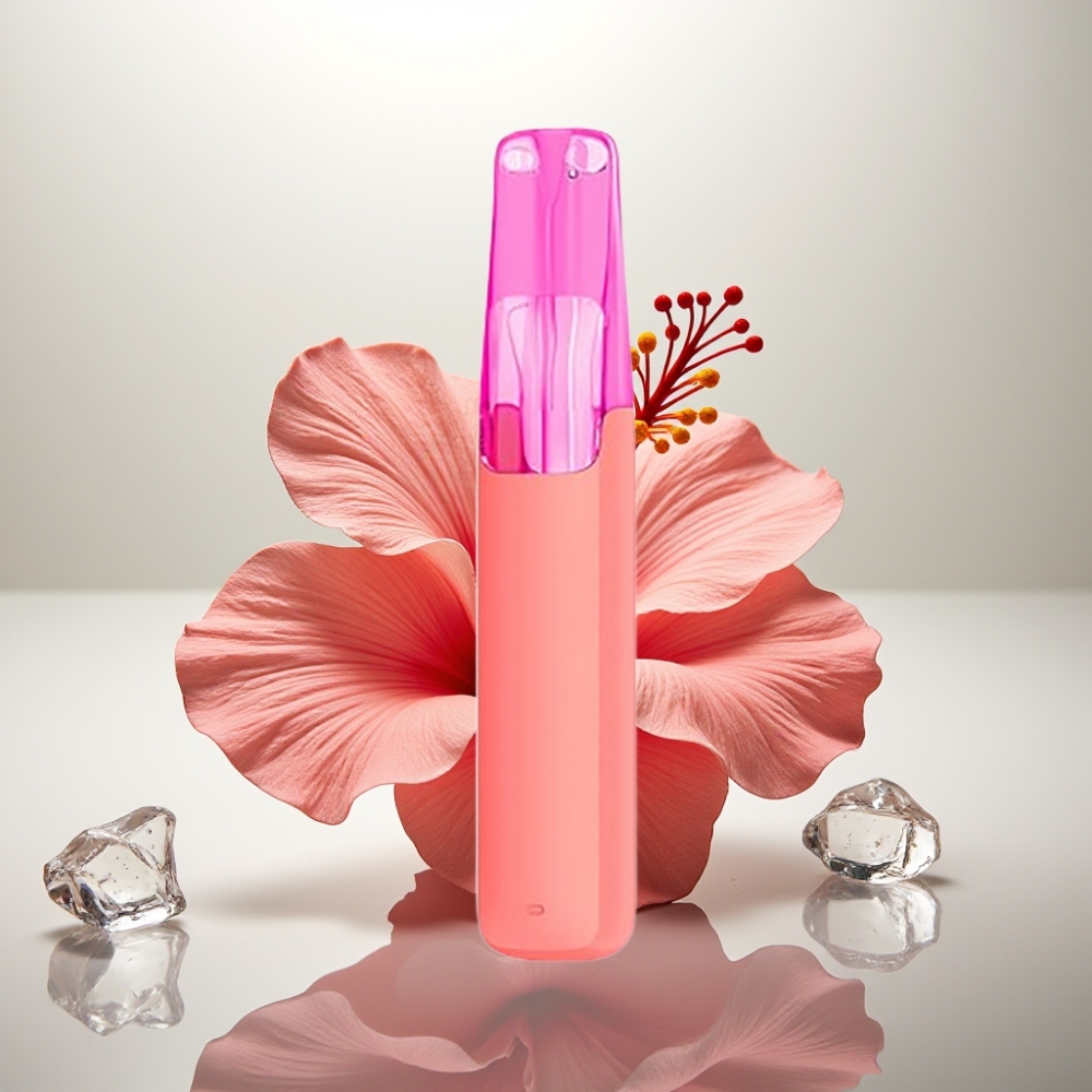 Snowplus Dash 4000 Puffs Ceramic 75ml Hibiscus Ice Tea