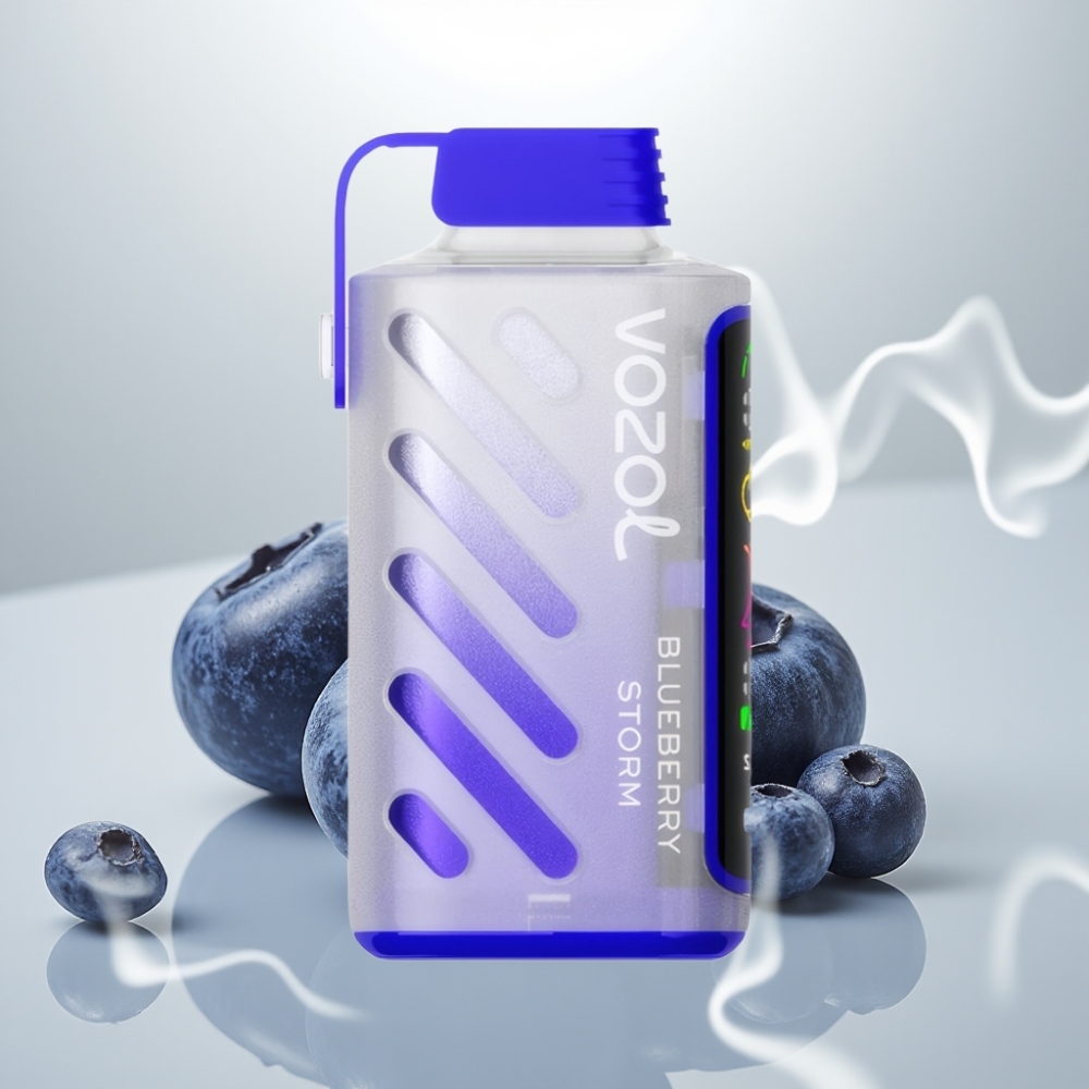 VOZOL Gear Power 20000 Puffs Dual Mesh Blueberry Storm