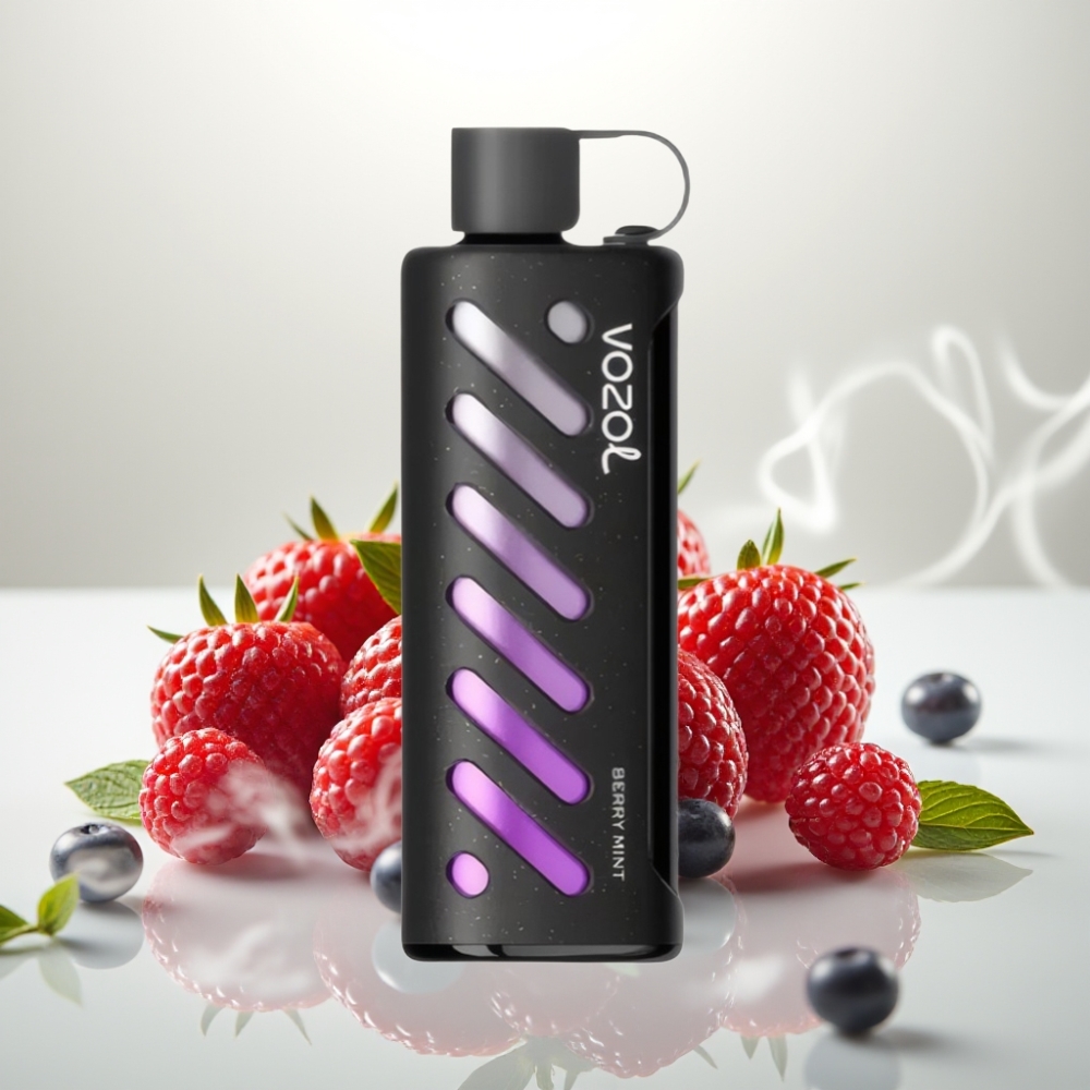 VOZOL Gear Shisha 25000 Puffs Dual Mesh Berry Mint