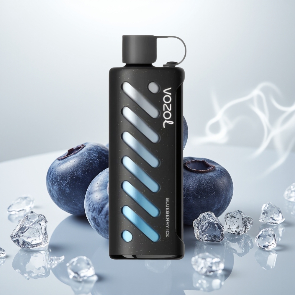 VOZOL Gear Shisha 25000 Puffs Dual Mesh Blueberry Ice