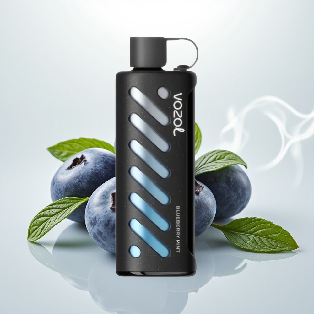 VOZOL Gear Shisha 25000 Puffs Dual Mesh Blueberry Mint