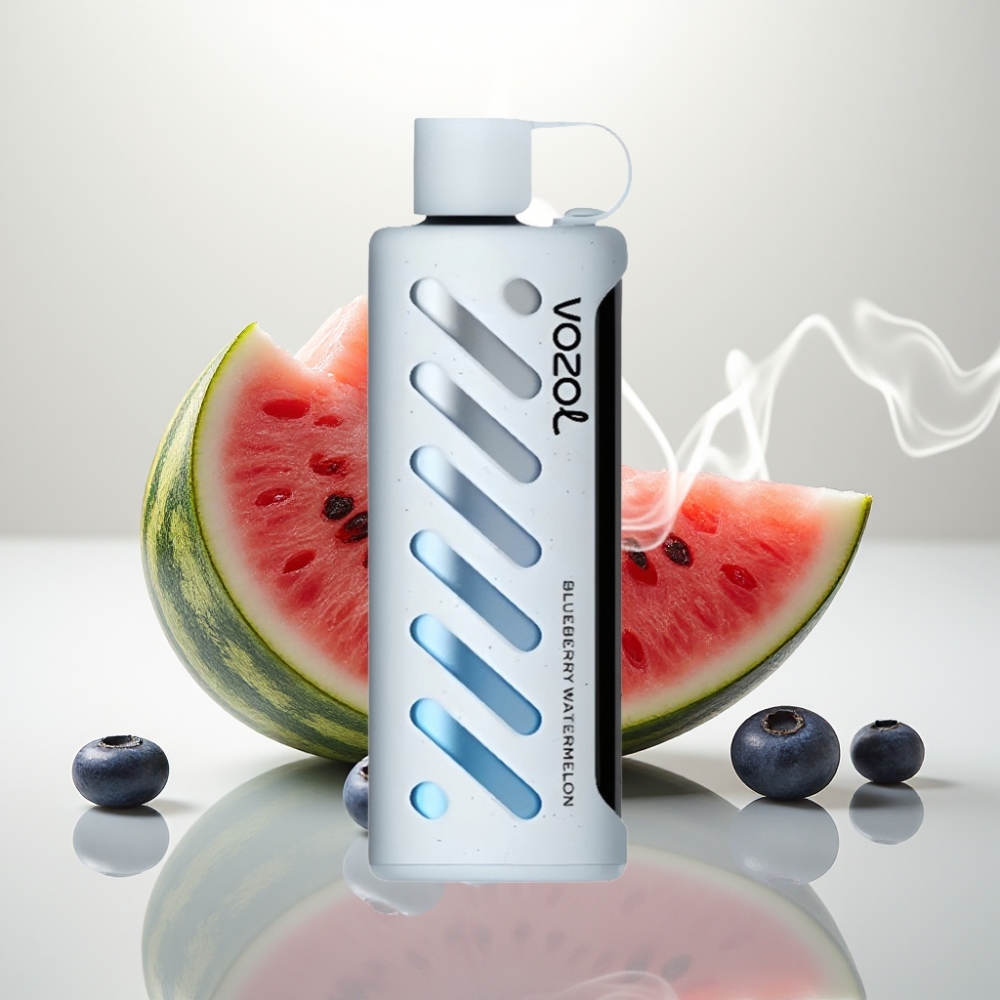 VOZOL Gear Shisha 25000 Puffs Dual Mesh Disposable Vape Blueberry Watermelon