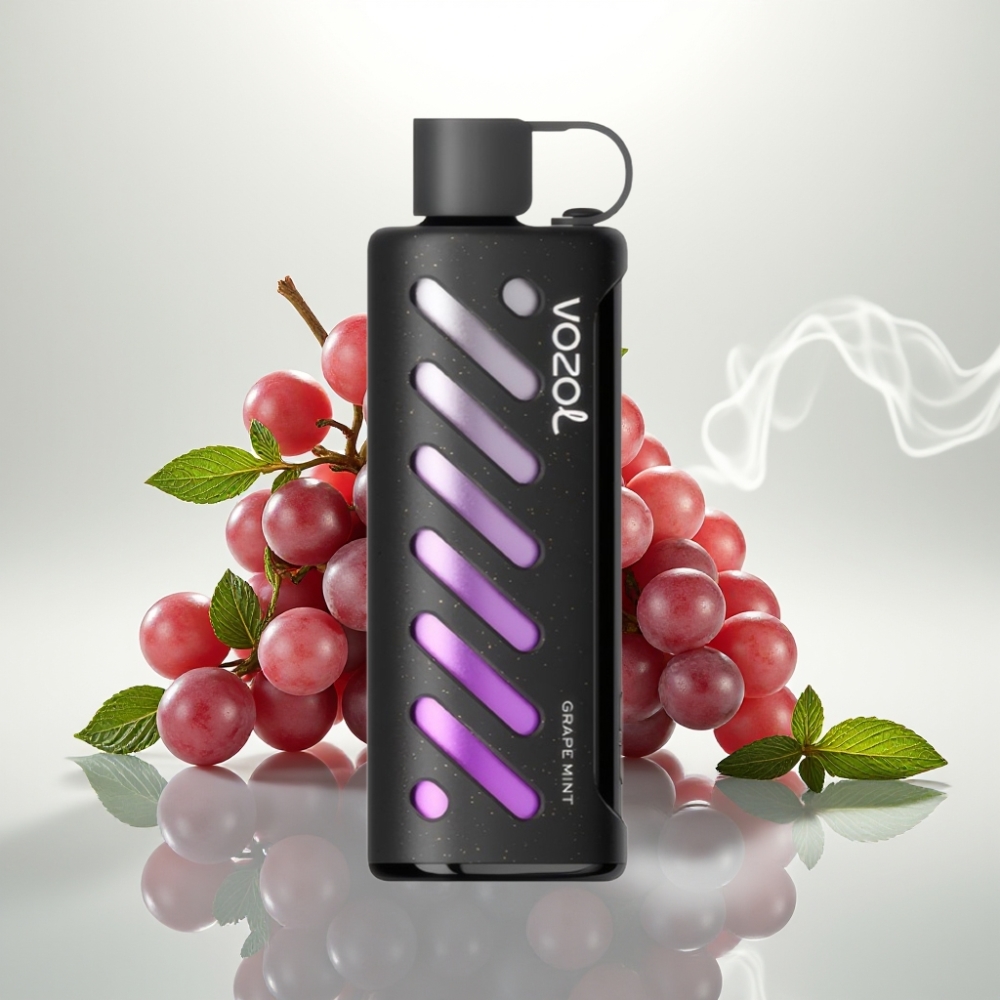 VOZOL Gear Shisha 25000 Puffs Dual Mesh Grape Mint