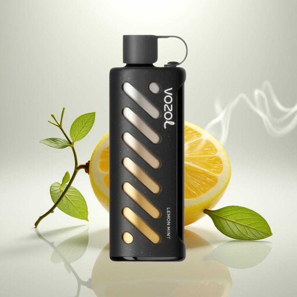 VOZOL Gear Shisha 25000 Puffs Dual Mesh Lemon Mint