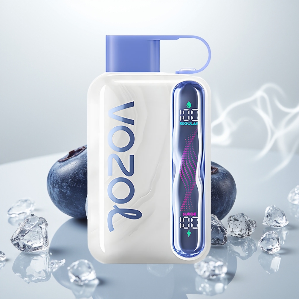 VOZOL STAR 40000 Puffs 1000mAh Type-C Blueberry Ice