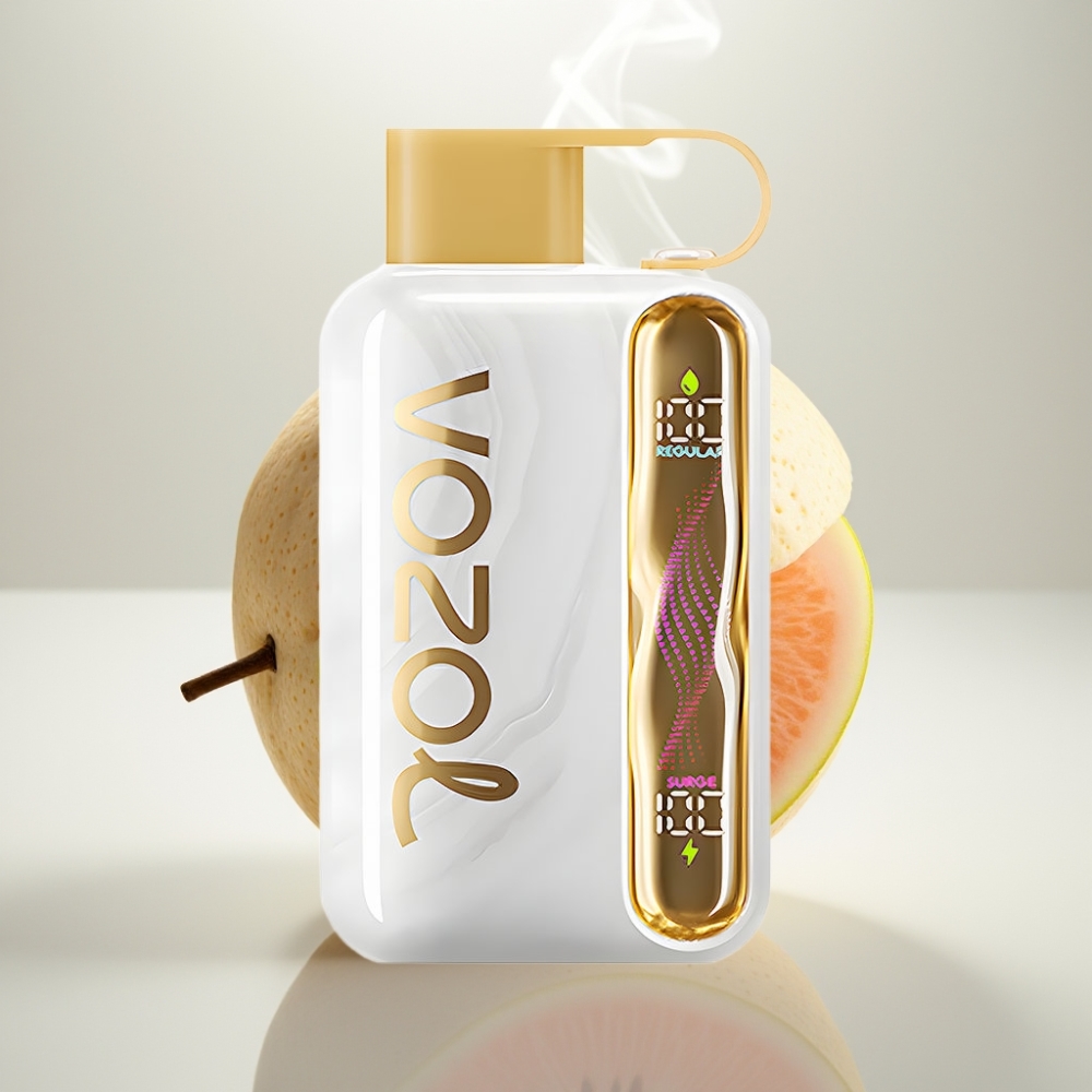 VOZOL STAR 40000 Puffs 1000mAh Type-C Disposable Vape Melon Gum