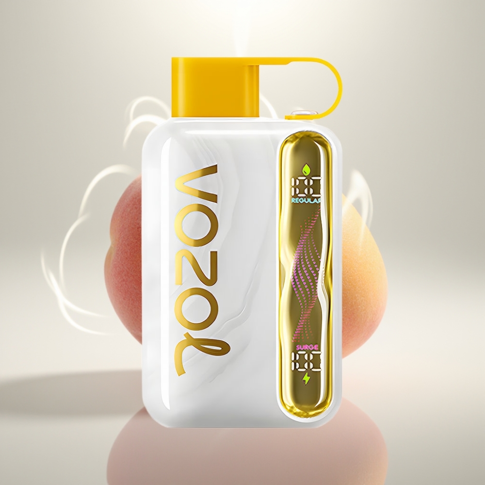 VOZOL STAR 40000 Puffs 1000mAh Type-C Mango Peach