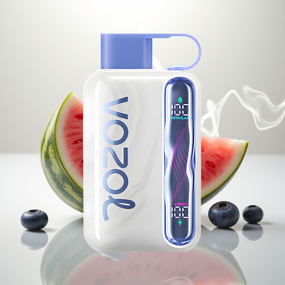 VOZOL STAR 40000 Puffs Blueberry Watermelon Disposable Vape 1000mAh Type-C
