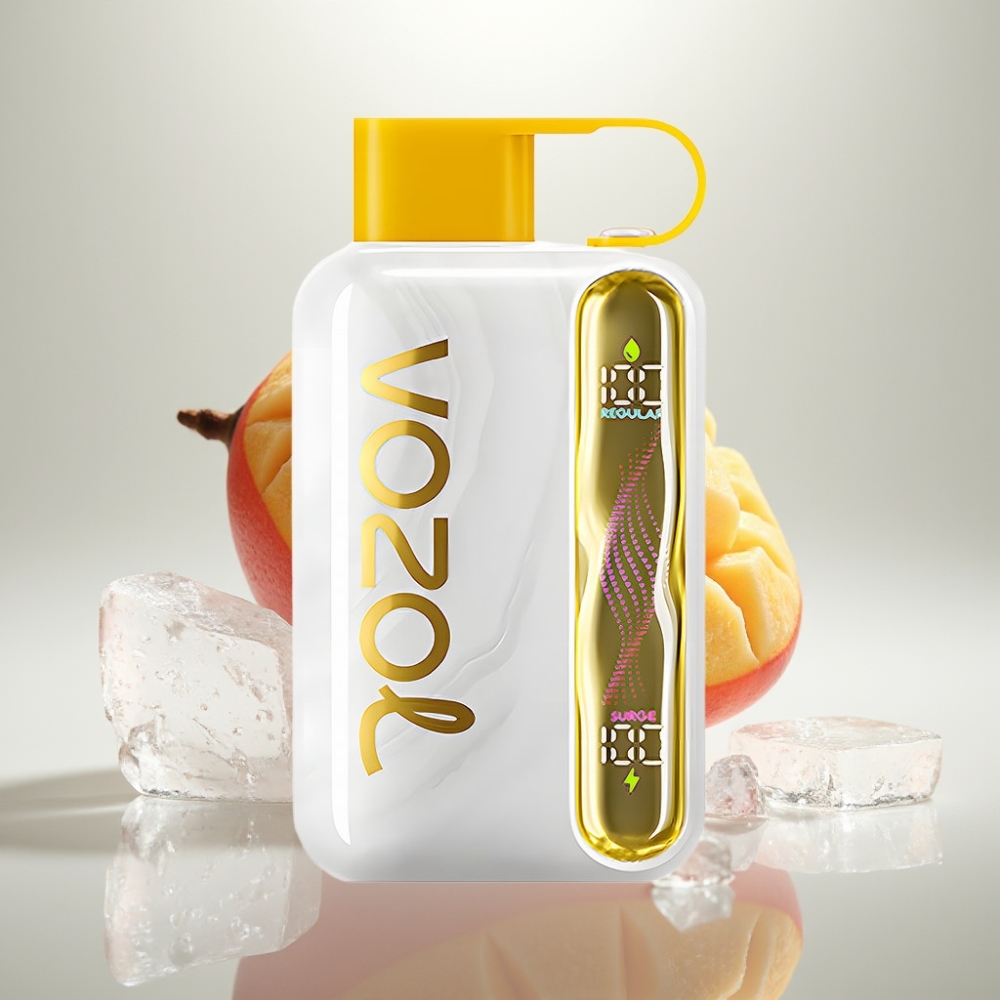 VOZOL STAR 40000 Puffs Disposable Vape 1000mAh Type-C Mango Ice