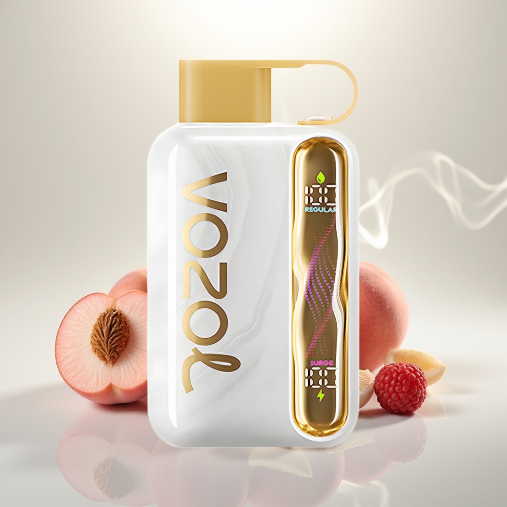 VOZOL STAR 40000 Puffs Disposable Vape 1000mAh Type-C White Peach Raspberry