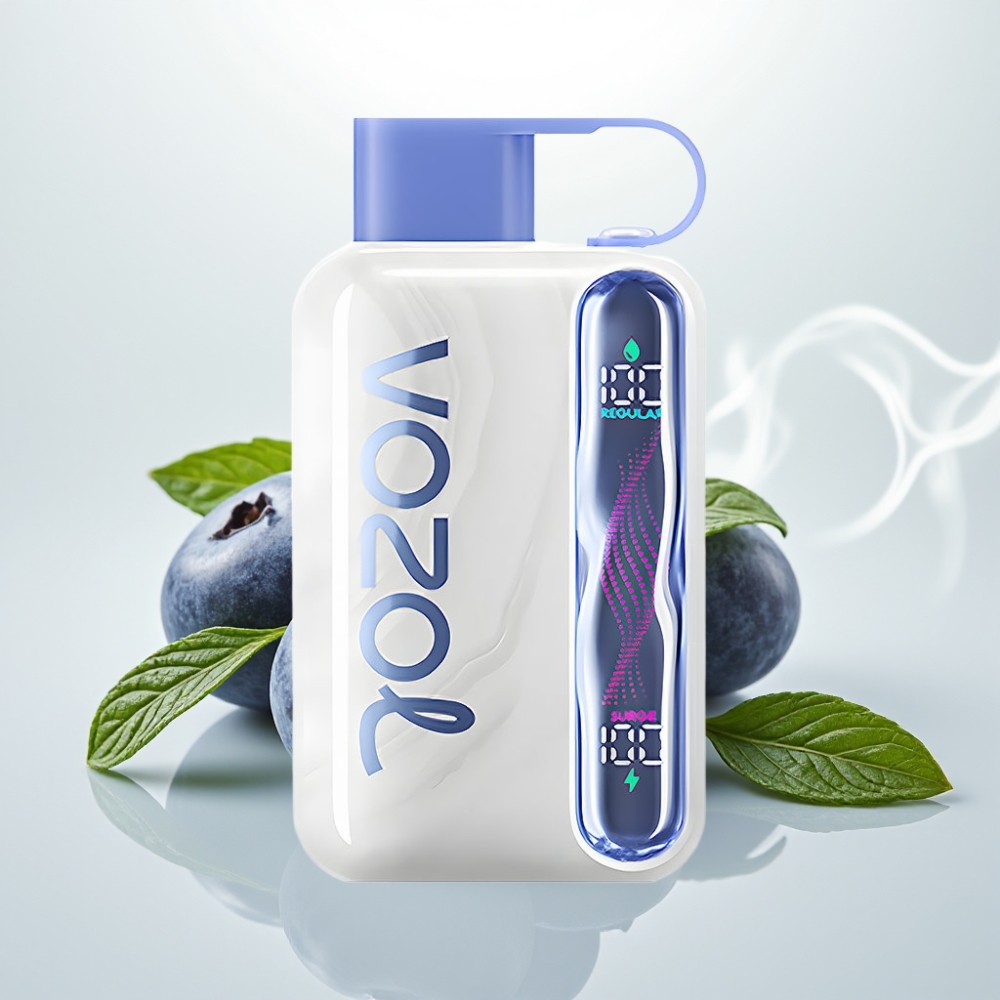 VOZOL STAR 40000 Puffs Disposable Vape Blueberry Mint 20/50mg Type-C
