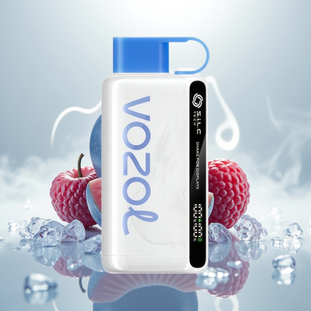 VOZOL STAR 9000/12000 Disposable Vape with SiLC TECH  Faster Charge - Blue Razz Ice