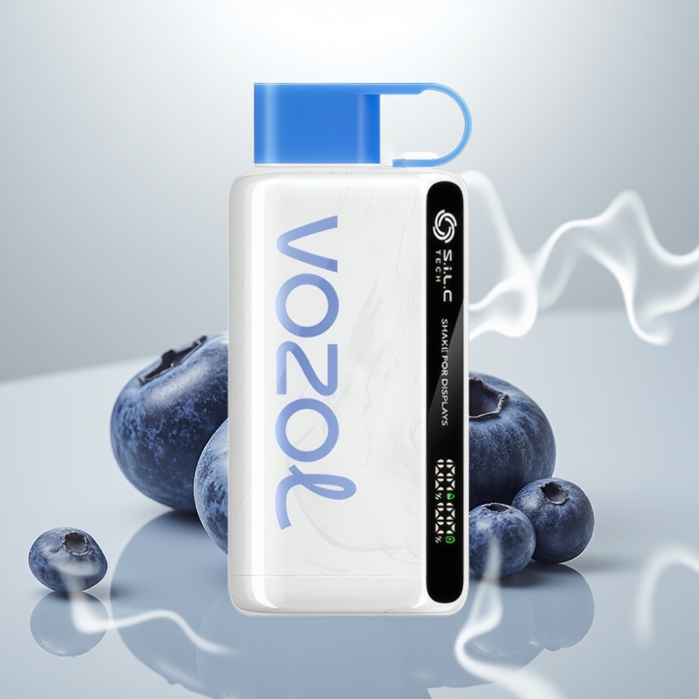 VOZOL STAR 9000/12000 Disposable Vape with SiLC TECH  Faster Charge - Blueberry Storm
