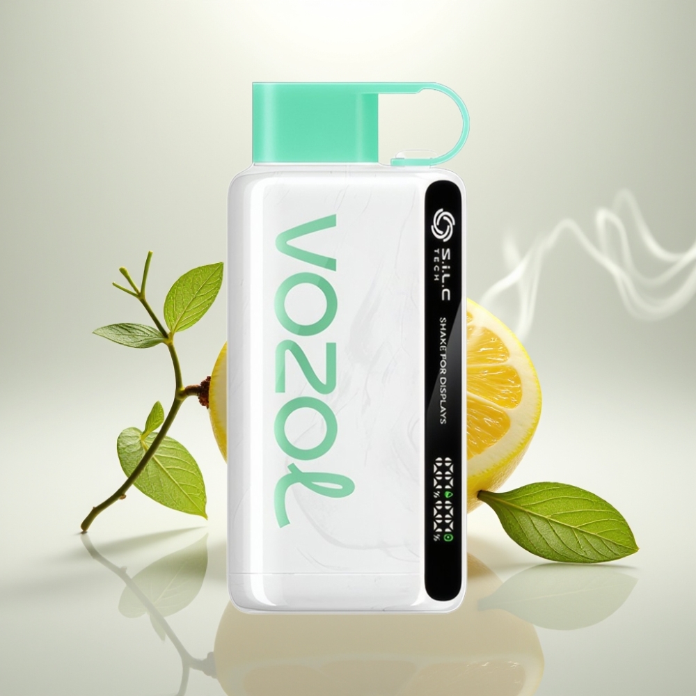 VOZOL STAR 9000/12000 Disposable Vape with SiLC TECH  Faster Charge - Lemon Mint