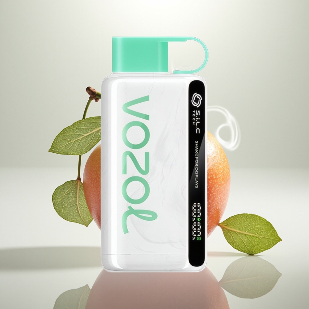 VOZOL STAR 9000/12000 Disposable Vape with SiLC TECH  Faster Charge Cool Mint