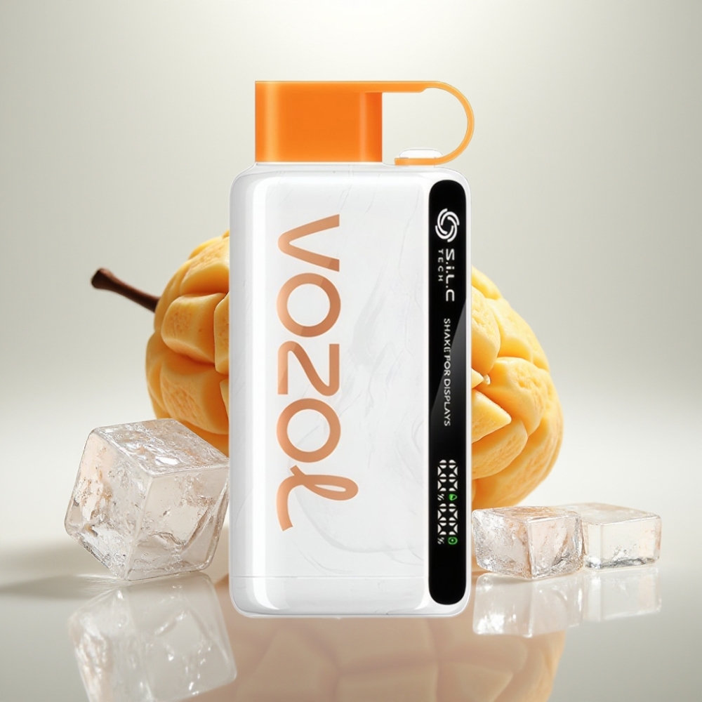 VOZOL STAR 9000/12000 Disposable Vape with SiLC TECH  Faster Charge – Mexica Mango Ice