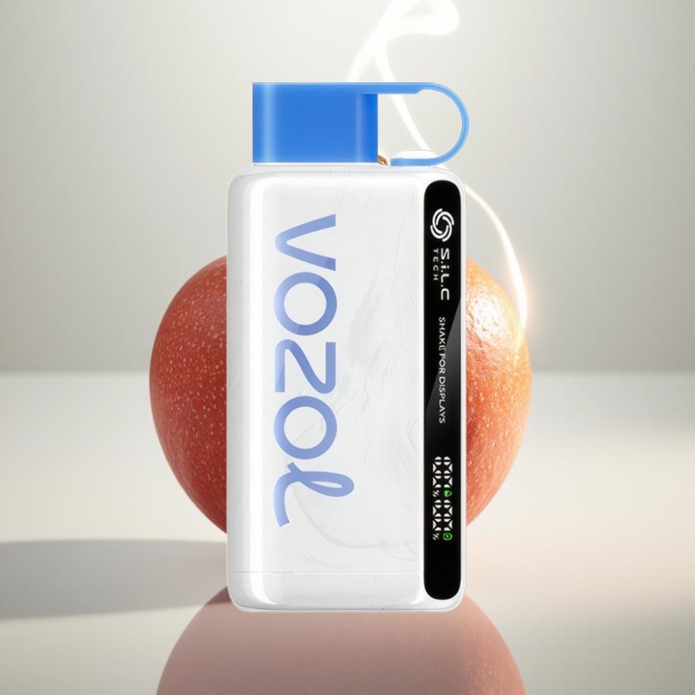 VOZOL STAR 9000/12000 Disposable Vape with SiLC TECH  Vzbull Flavor