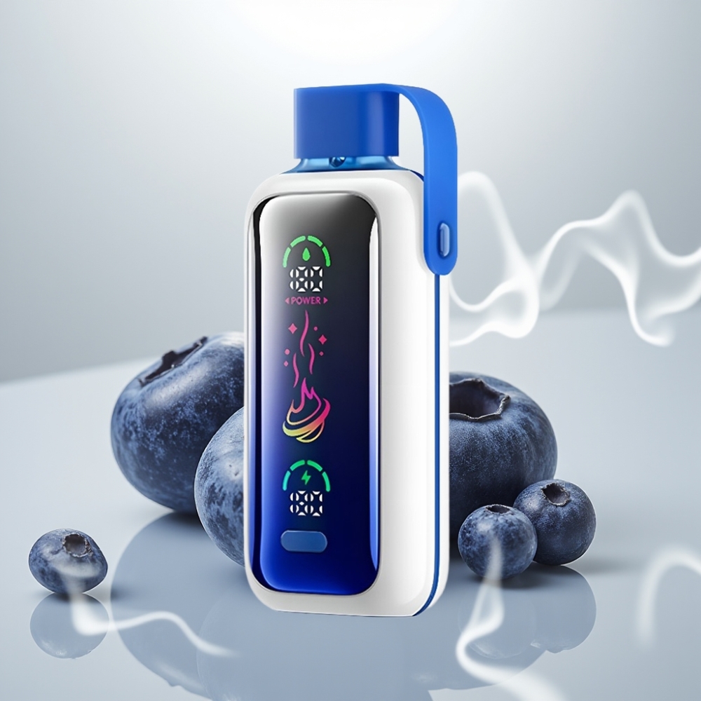 VOZOL Star 20000 Puffs Dual Mesh HD Screen Blueberry Storm