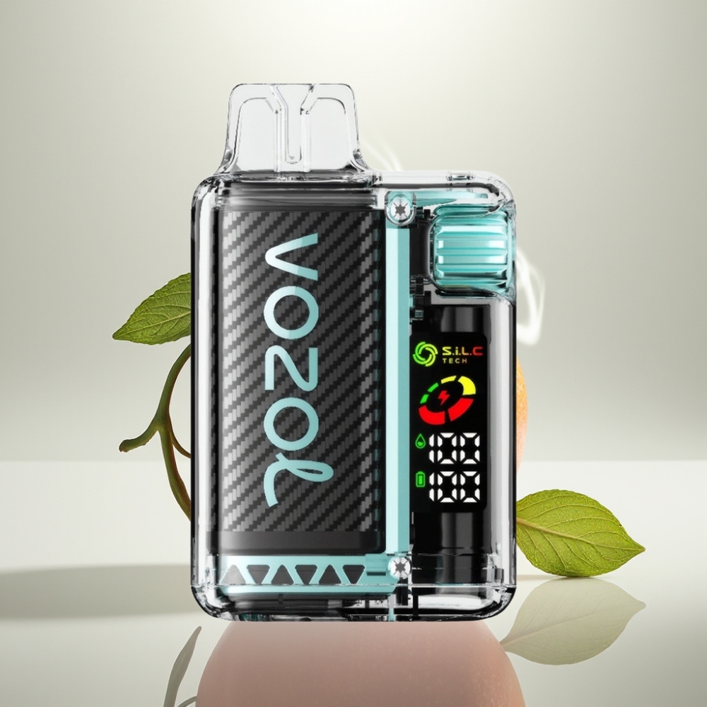 VOZOL Vista 20000 Puffs Rechargeable 650mAh MTL Miami Mint