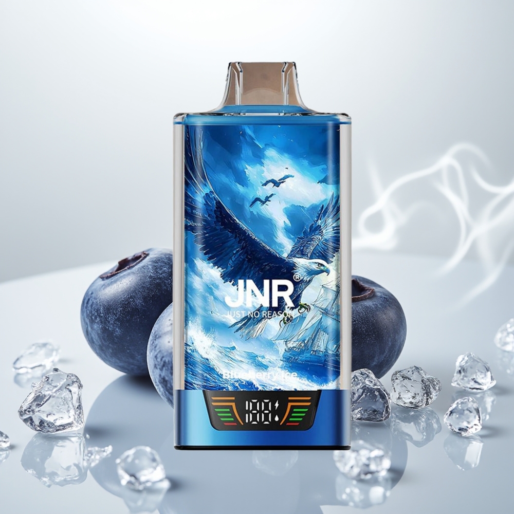 JNR Falcon Pro 28000 30ml 5% Nic Blueberry Ice