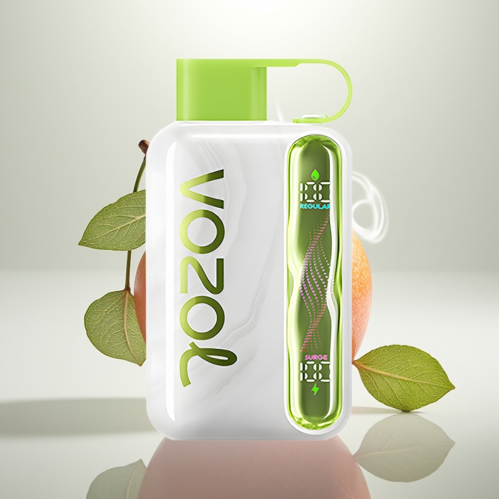 VOZOL STAR 40000 Puffs Disposable Vape Cool Mint Type-C 1000mAh