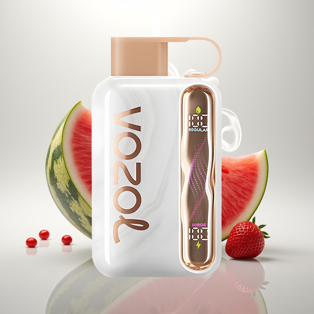 VOZOL STAR 40000 Puffs Disposable Vape Strawberry Watermelon 1000mAh Type-C